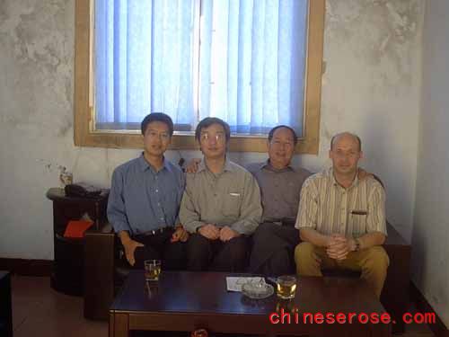 南阳月季